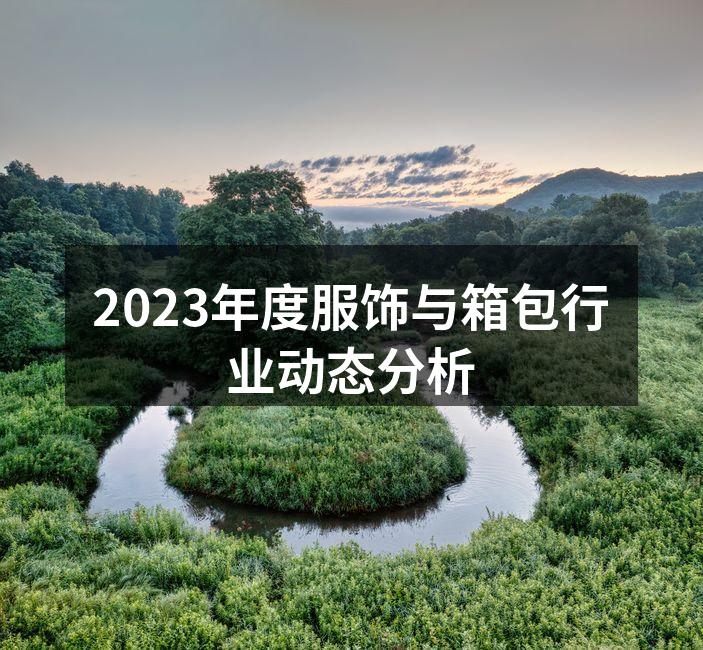 2023年服饰与箱包行业市场趋势图