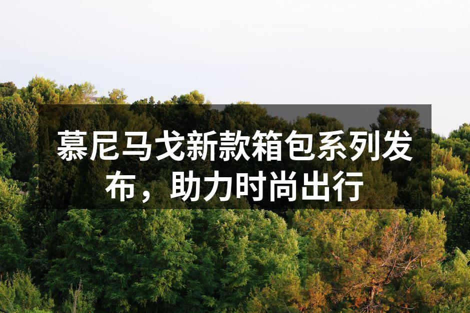 新款箱包系列展示